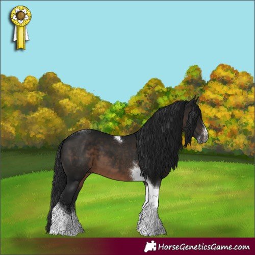 Horse Color:Gray Brown Sabino Tobiano