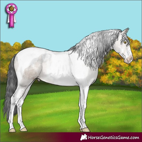 Horse Color:Powder White Brown Dun Tobiano 