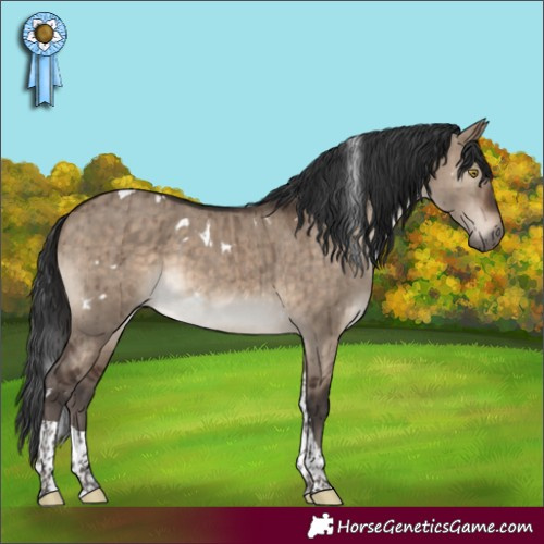 Horse Color:White Spotted Brown Dun Tobiano Rabicano Brindle