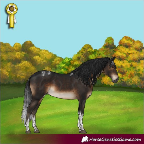 Horse Color:Powder White Gray Brown Tobiano Rabicano
