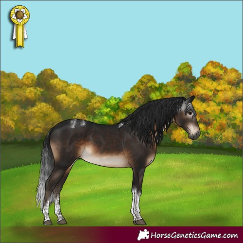 Horse Color:Powder White Gray Brown Tobiano Rabicano 