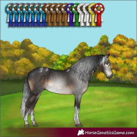 Horse Color:Powder White Gray Brown Tobiano Rabicano