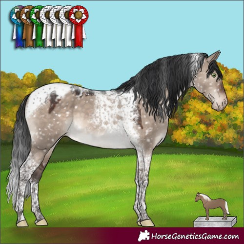 Horse Color:Brown Dun Mushroom Tobiano Appaloosa