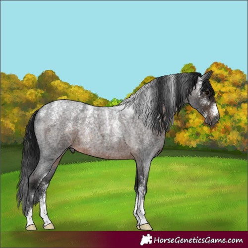 Horse Color:Powder White Gray Brown Roan 