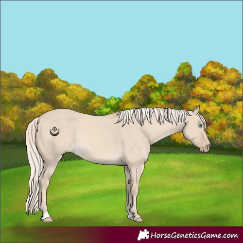 Horse Color:Cremello Dun