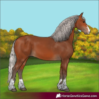 Horse Color:Silver Bay