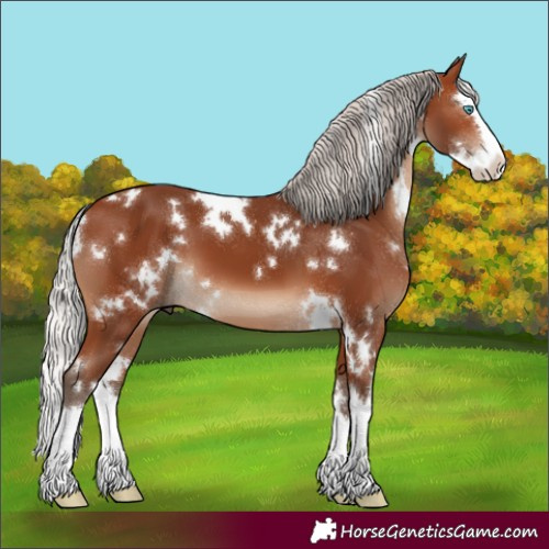 Horse Color:White Spotted Silver Brown Splash