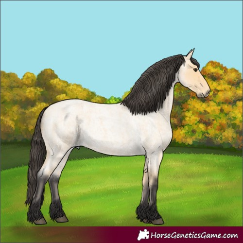 Horse Color:Buckskin Roan 