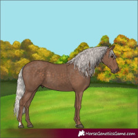 Horse Color:Silver Black