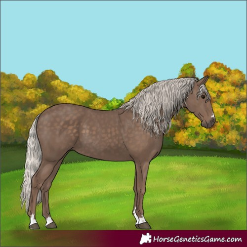 Horse Color:Silver Black 