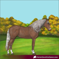 Horse Color:Silver Black