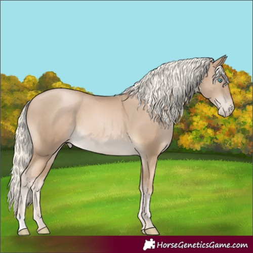 Horse Color:Chocolate Palomino Pearl Appaloosa
