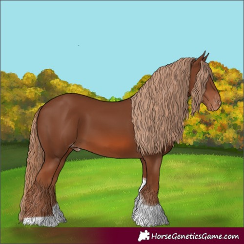 Horse Color:Chestnut Tobiano Skewed Appaloosa