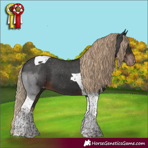 Horse Color:Liver Chestnut Tobiano Skewed LP Spotted