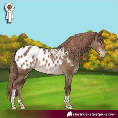 Horse Color:Liver Red Dun Tobiano Blanket Rabicano 