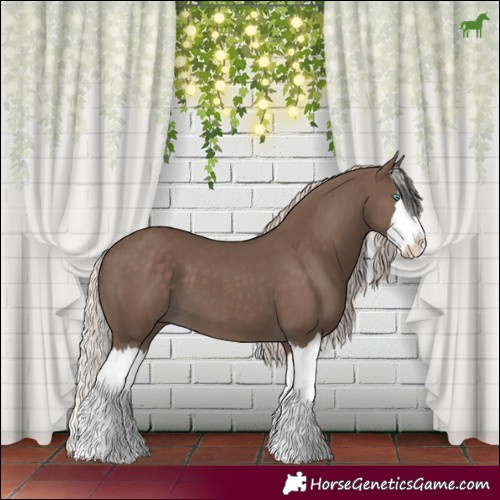 Horse Color:Silver Black Splash