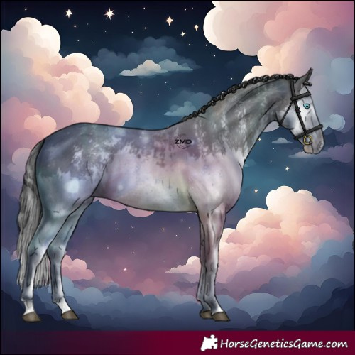 Horse Color:Grullo Sabino Splash  and Grullo Sabino Splash 