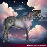 Horse Color:Grullo Sabino Splash  and Grullo Sabino Splash 
