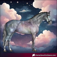 Horse Color:Grullo Sabino Splash  and Grullo Sabino Splash 
