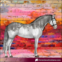 Horse Color:Grullo Sabino Splash  and Grullo Sabino Splash 