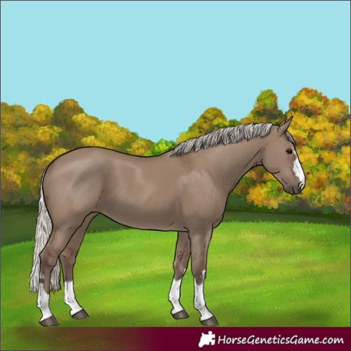 Horse Color:Silver Grullo