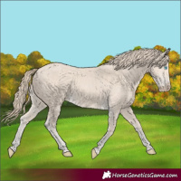 Horse Color:Smoky Creme 