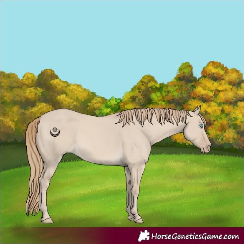 Horse Color:Smoky Creme Dun