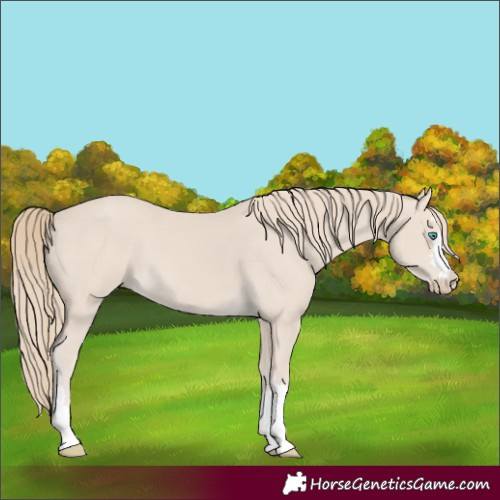 Horse Color:Smoky Creme