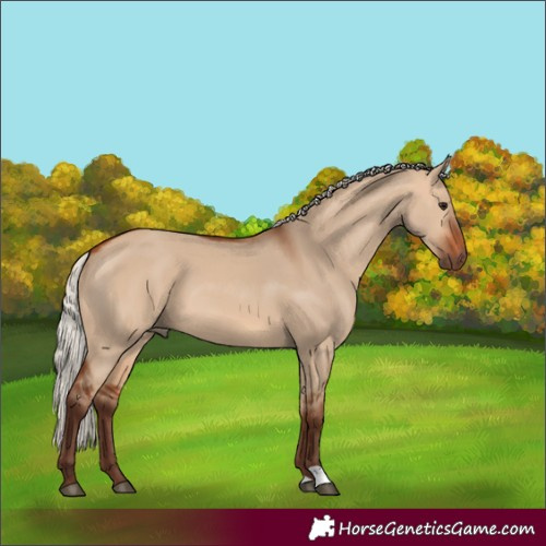 Horse Color:Silver Bay Dun 