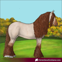 Horse Color:Red Dun Roan 