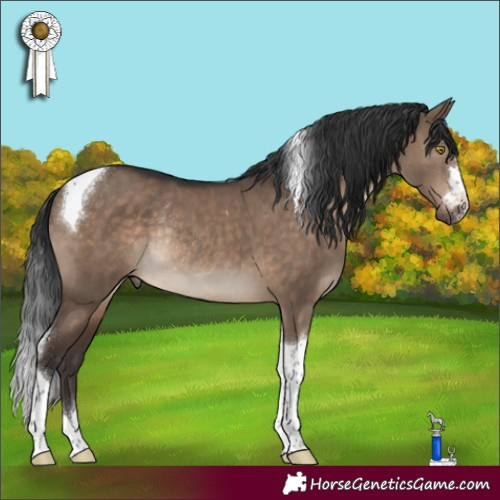 Horse Color:Brown Dun Tobiano Rabicano