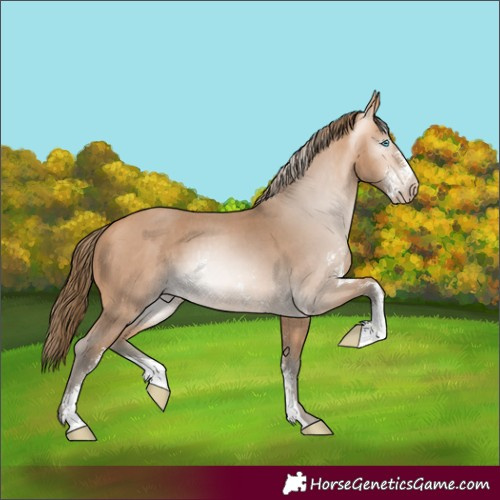 Horse Color:Gray Perlino Sabino 