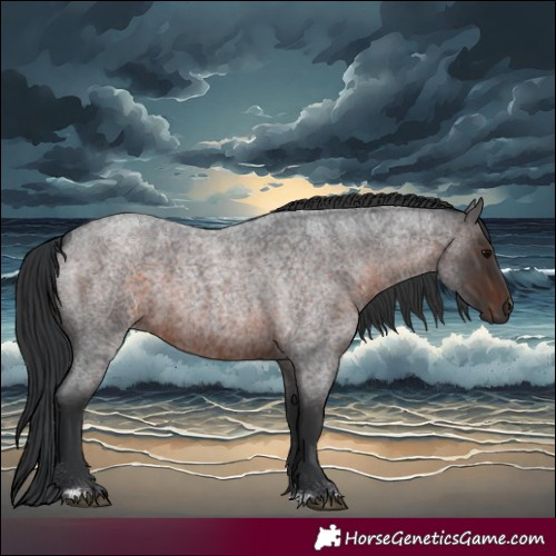 Horse Color:Brown Roan Rabicano 