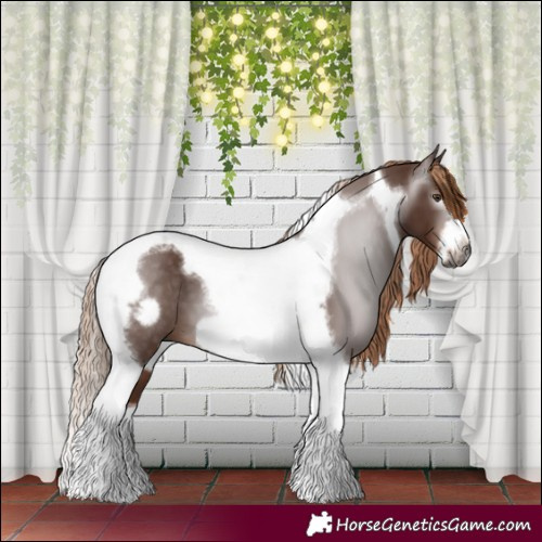 Horse Color:Gray Chestnut Tobiano Frame