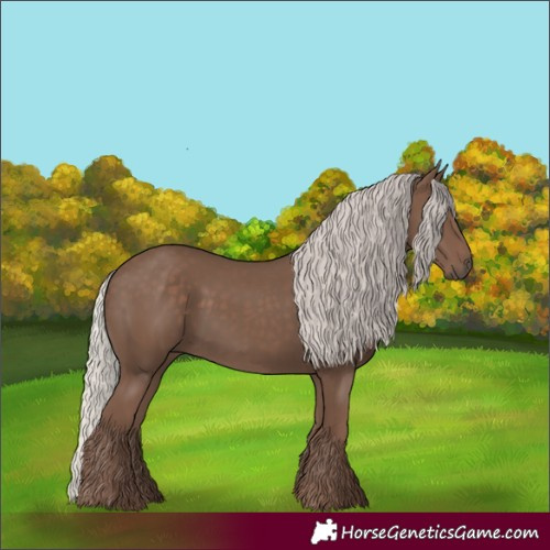 Horse Color:Silver Black 