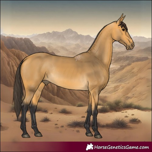 Horse Color:Buckskin Rabicano 