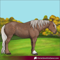 Horse Color:Silver Black 