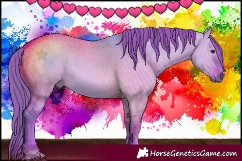 Horse Color:Watercolor Red Dun