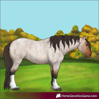 Horse Color:Bay Roan Dun Tobiano 