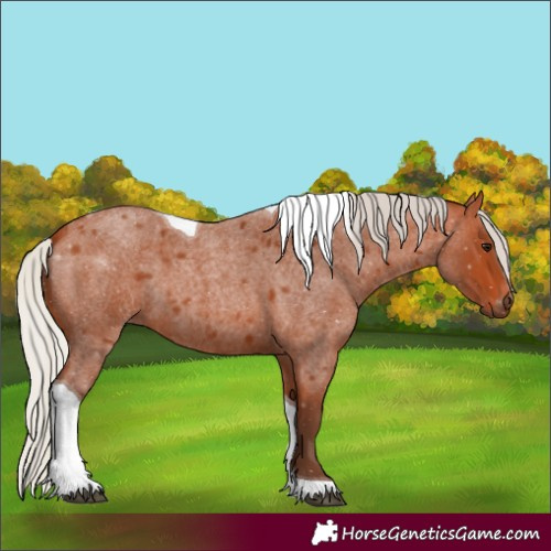 Horse Color:Silver Bay Roan Tobiano 