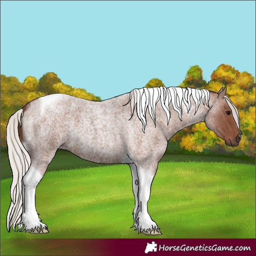 Horse Color:Silver Blue Roan Tobiano 