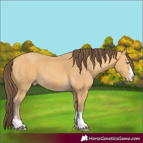 Horse Color:Amber Cream Champagne 