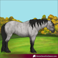 Horse Color:Gray Grullo Roan 