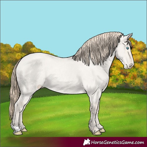 Horse Color:Smoky Creme Roan Dun