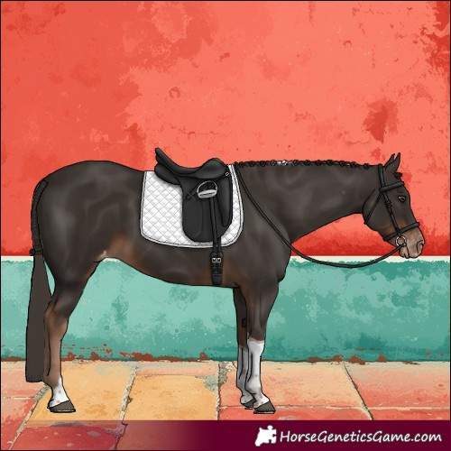 Horse Color:Liver Chestnut Tobiano Skewed LP Spotted 