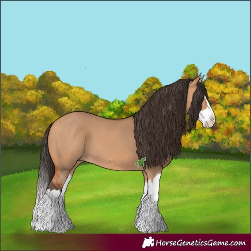 Horse Color:Bay Dun Splash 