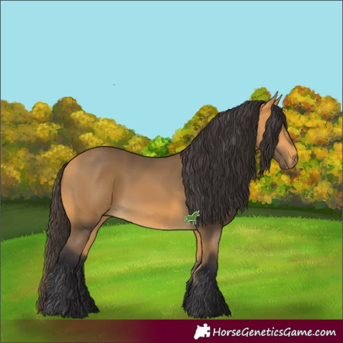 Horse Color:Buckskin 