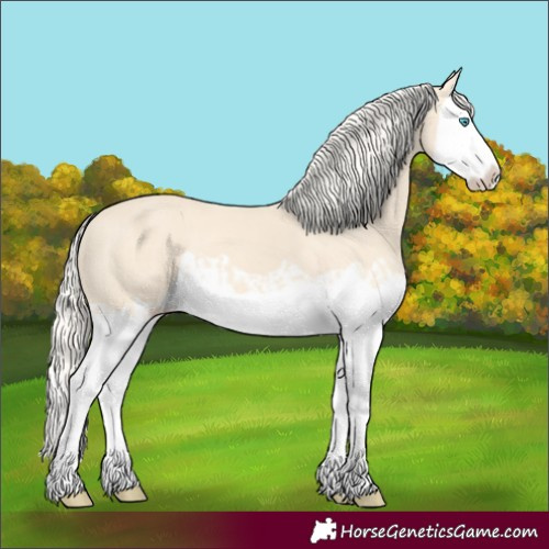 Horse Color:Cremello Splash and Cremello Splash