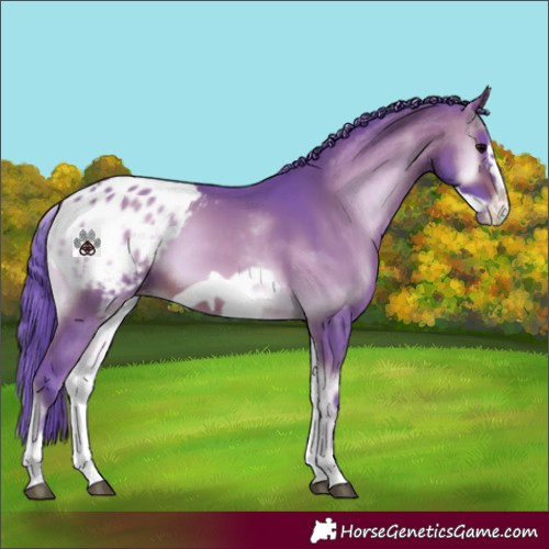 Horse Color:Watercolor White Spotted Brown Onyx Frame Appaloosa Rabicano 