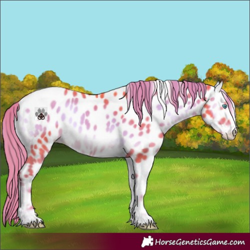 Horse Color:Watercolor Liver Red Onyx Frame Appaloosa 